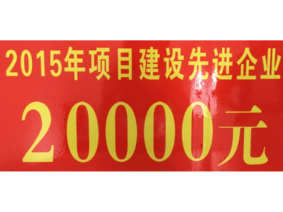 公司獲評2015年項(xiàng)目建設(shè)先進(jìn)企業(yè)